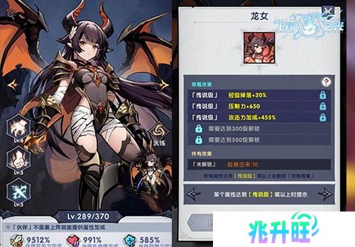 飞翔之光
