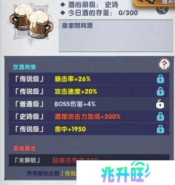 飞翔之光