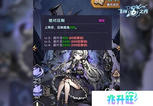 飞翔之光