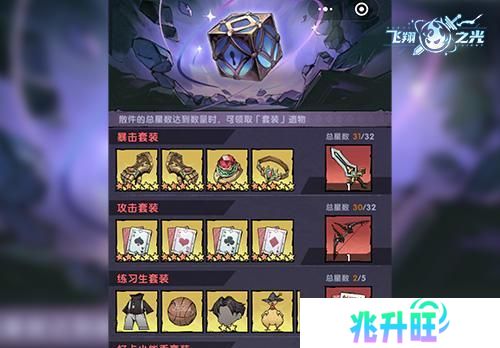 飞翔之光
