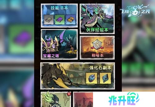 飞翔之光