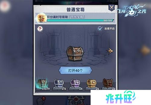 飞翔之光