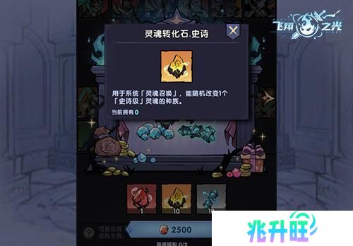 飞翔之光