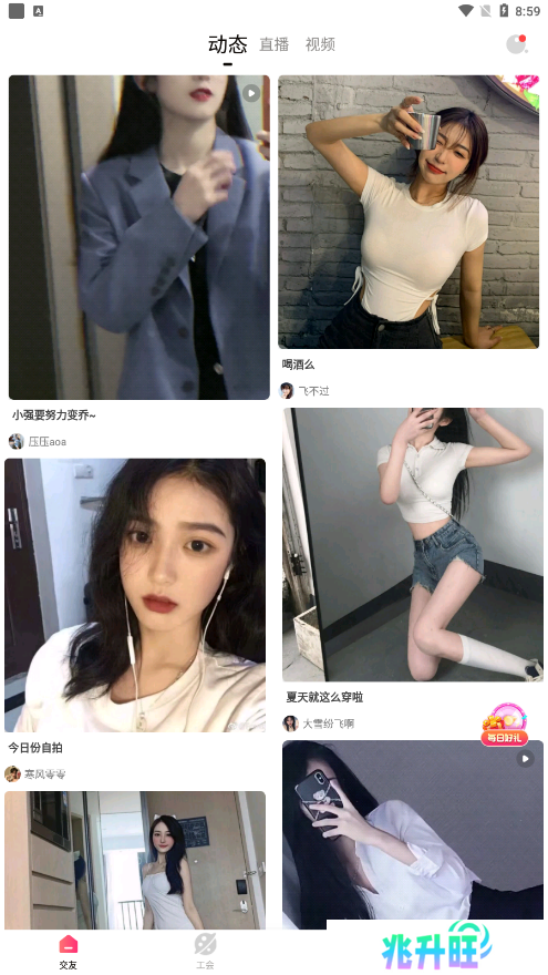 套路直播