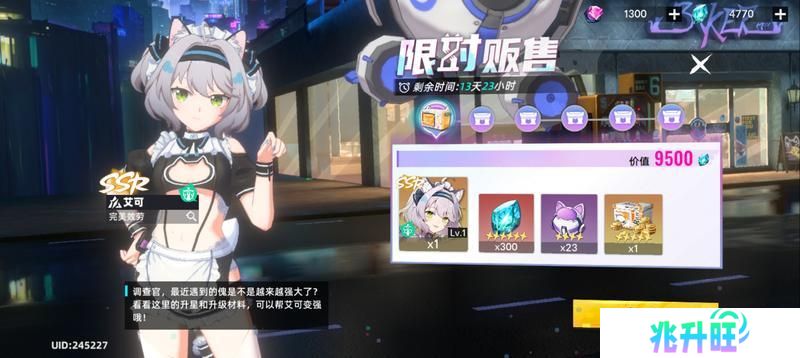 猫之城