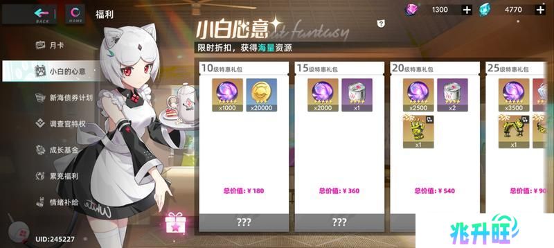 猫之城