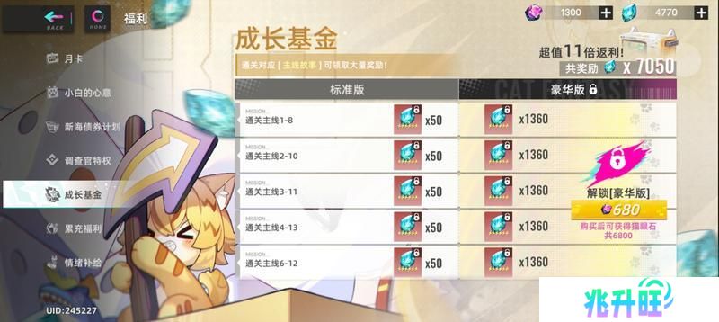 猫之城