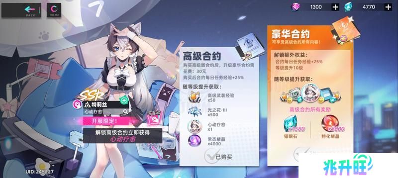 猫之城