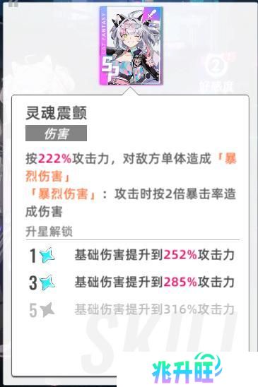 猫之城
