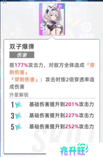 猫之城