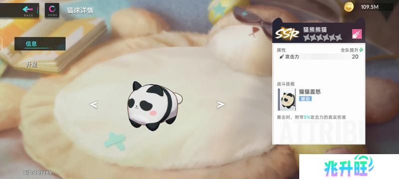 猫之城