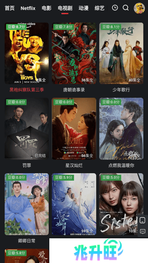 投屏到电视