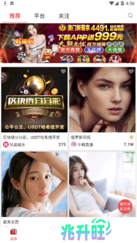 鲍鱼盒子