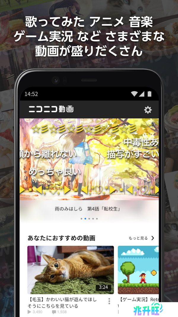 n站