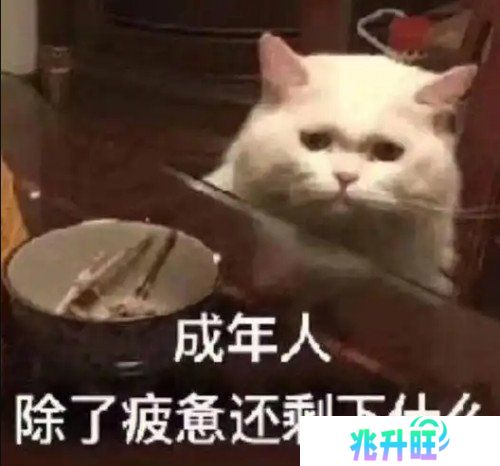 打枪和妹妹全都要！这次的《PUBG》又整了什么新活儿？