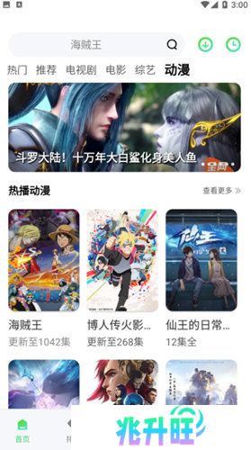 竹叶视频去广告