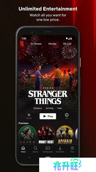 网飞netflix