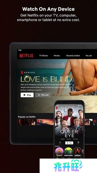 网飞netflix