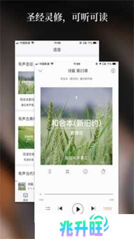 精读圣经2024免费版