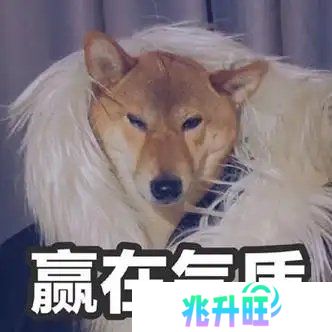 女大晒清凉穿搭，评论区炸锅：这就是让街拍师追了三条街的秘密?