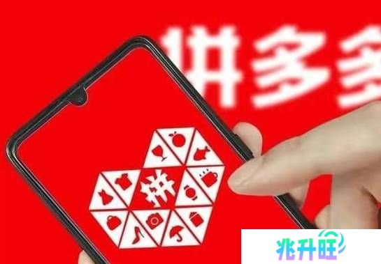 拼多多2024年营收3938.361亿元 你为它助力了多少？
