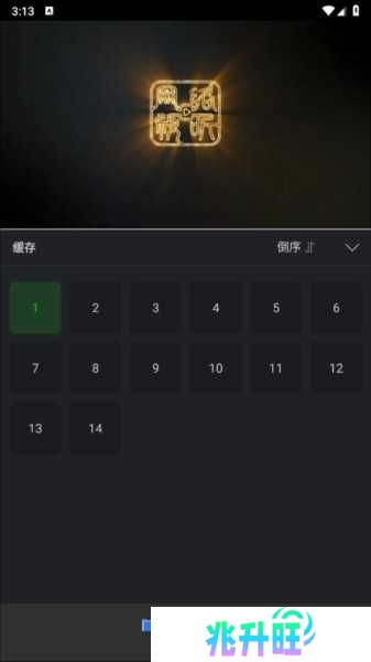 狮子影评