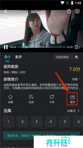 海鸥影评图片12