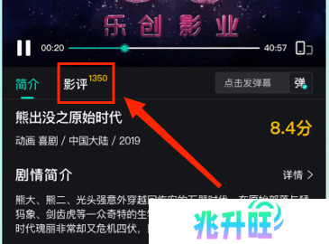 海鸥影评图片10