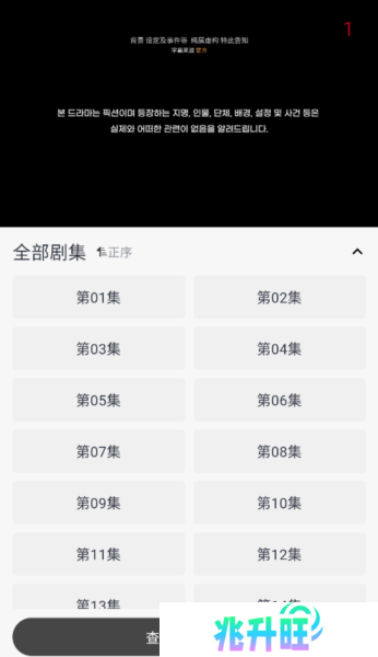 海鸥影评图片13