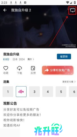 雪豹视频图片9