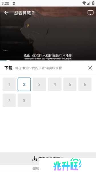 雪豹视频图片6