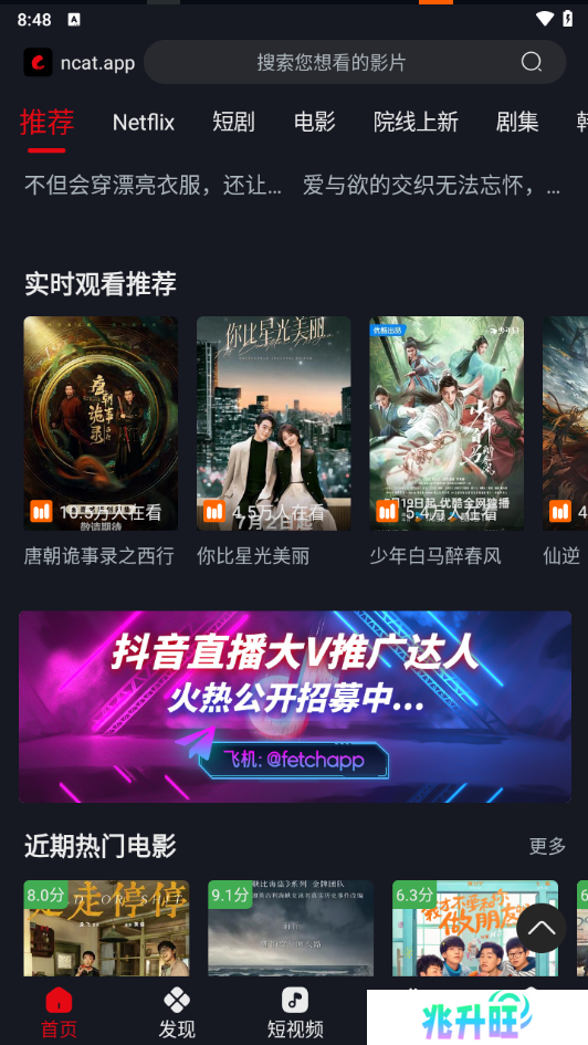网飞猫