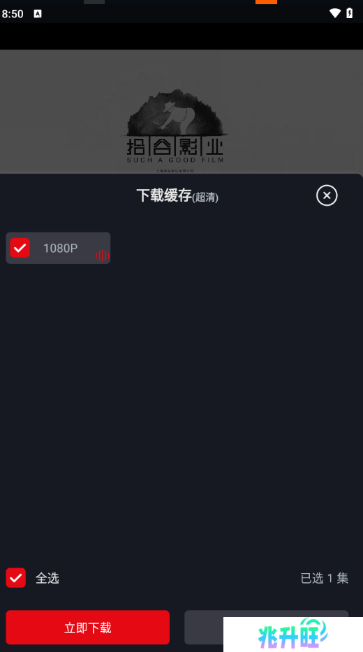 网飞猫