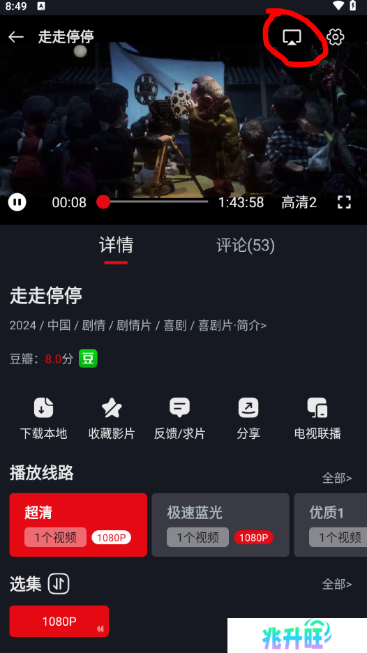 网飞猫