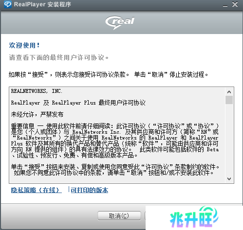 RealPlayer V22截图