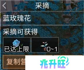 《明日之后》异色玫瑰保姆级攻略手把手教学兑换