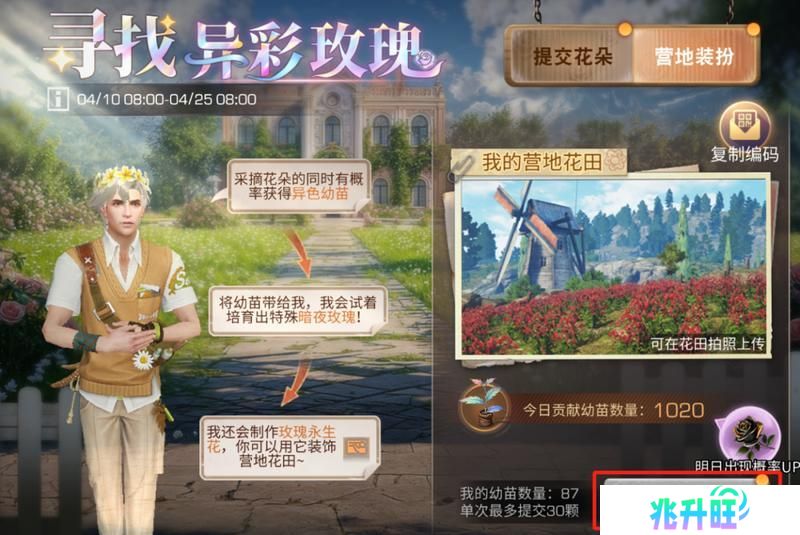 《明日之后》异色玫瑰保姆级攻略手把手教学兑换