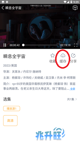 黑豹影视