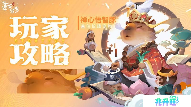 《道友请留步》「禅心悟智豚」最新测评！
