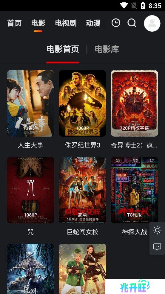 大米星球netflix